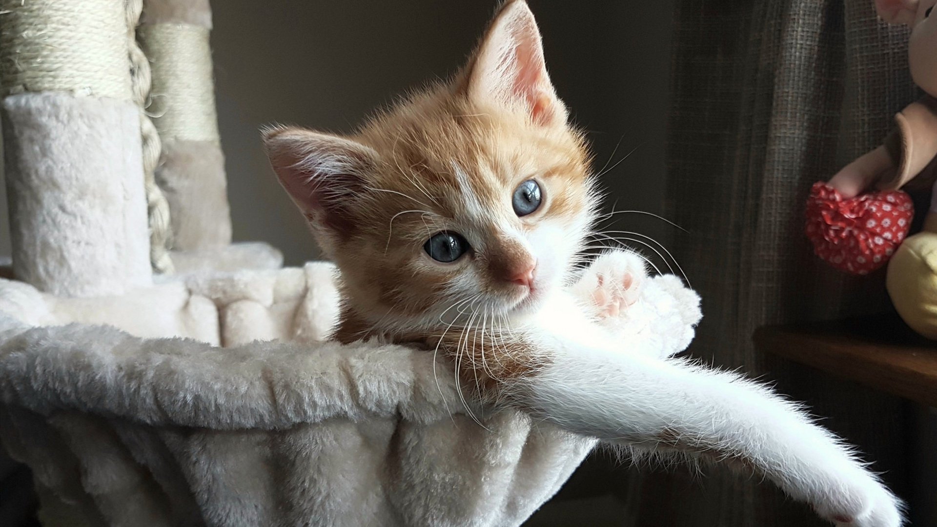 国际赛事背后的合作与竞争关系，国际赛事背后的合作与竞争关系有哪些