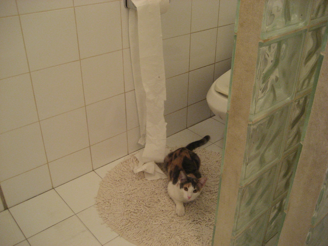 九游(jiuyou)官方网站-_运动员赛后分享训练秘诀，激励新一代_，运动员赛后如何恢复