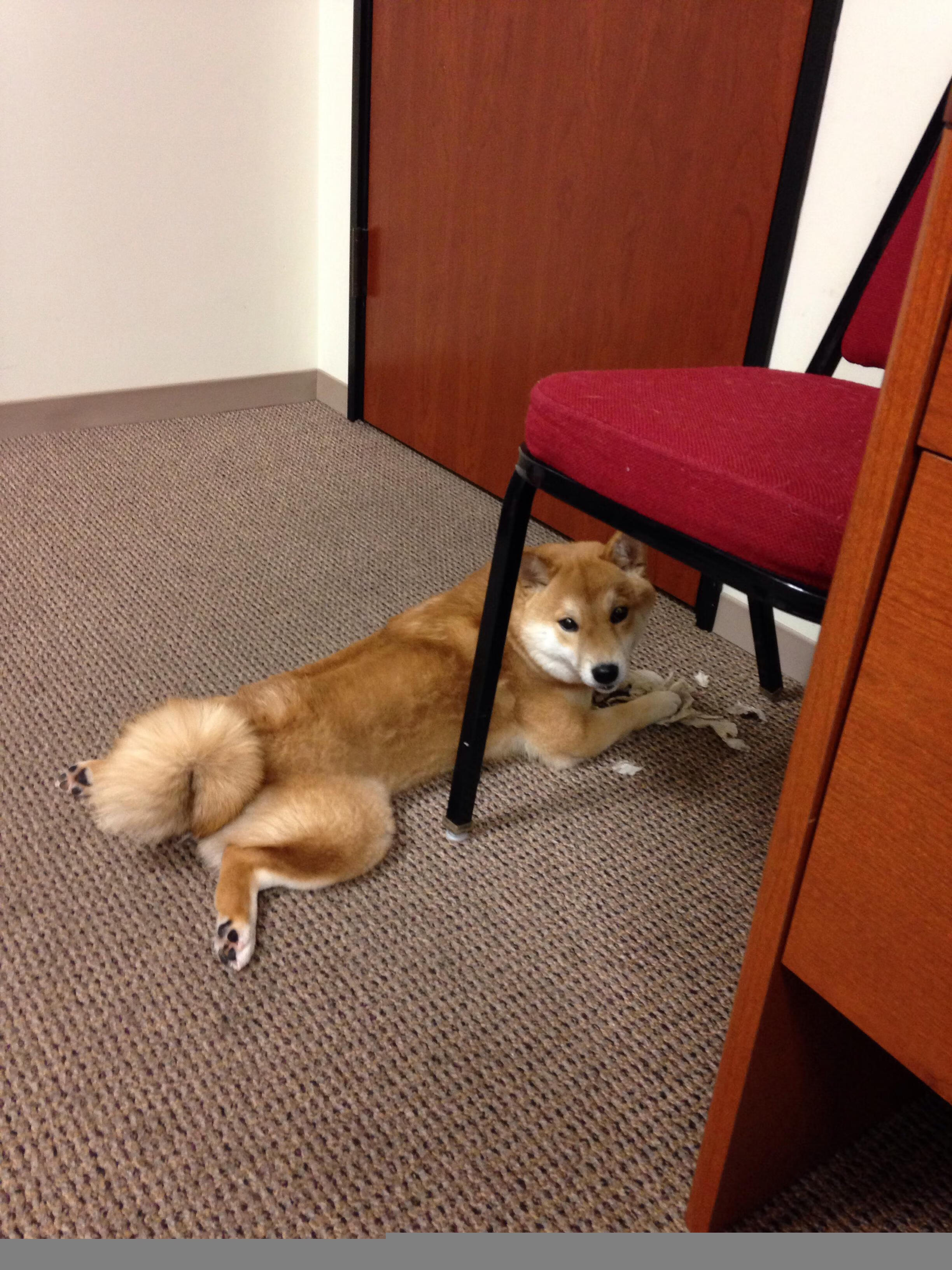 _运动员身边事：训练日常和趣味花絮_，运动员的训练生活