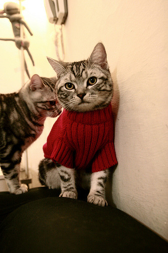 九游(jiuyou)官方网站-“足球+文化+旅游”融合模式带动行业跨界转型，行业潜力巨大，足球文化产业