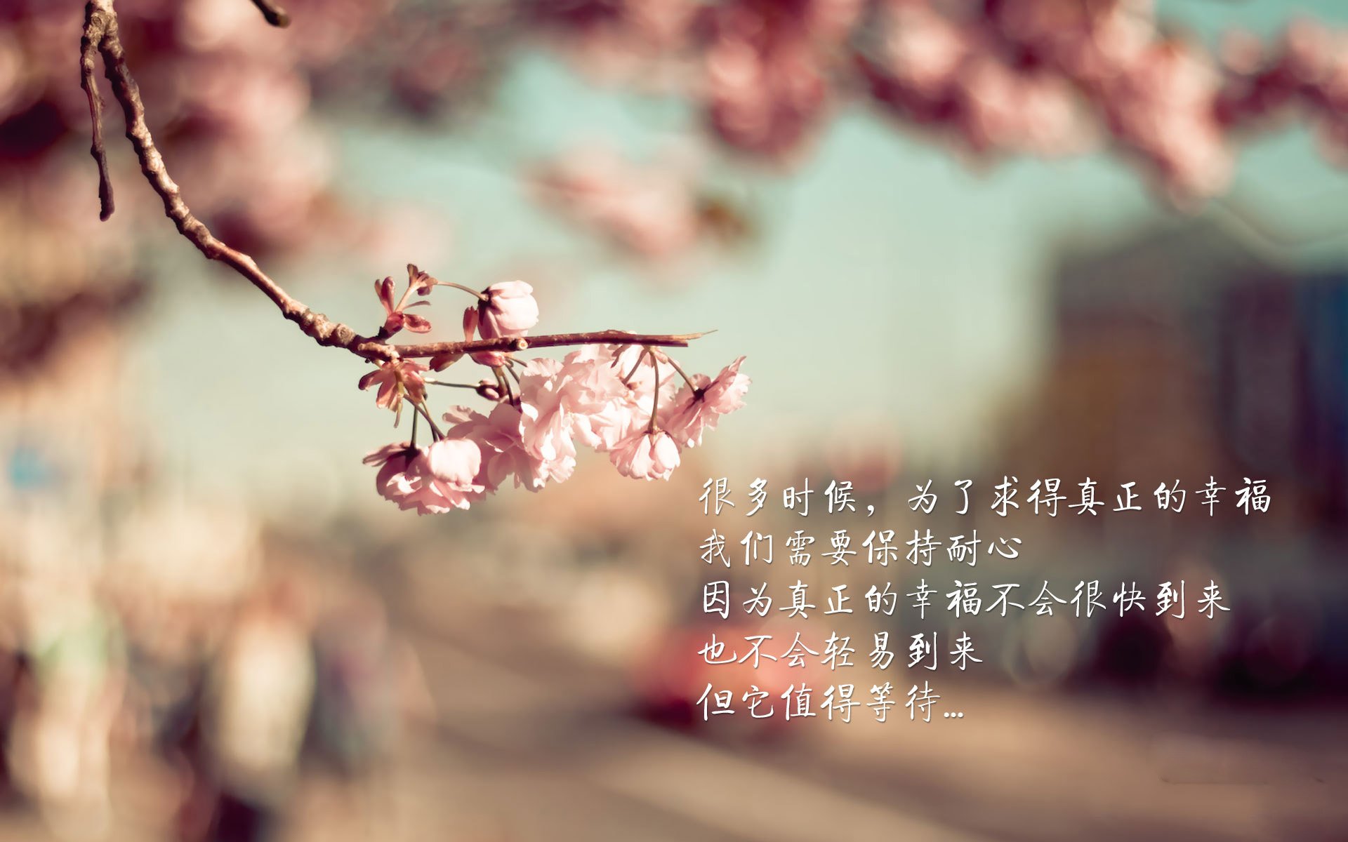 JiuyouAPP下载-各队季后赛可能阵容曝光，谁将成为黑马？，季后赛各队战绩